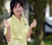 介绍内容